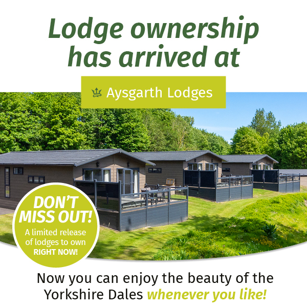 Photgraph of lakeside holiday lodges
