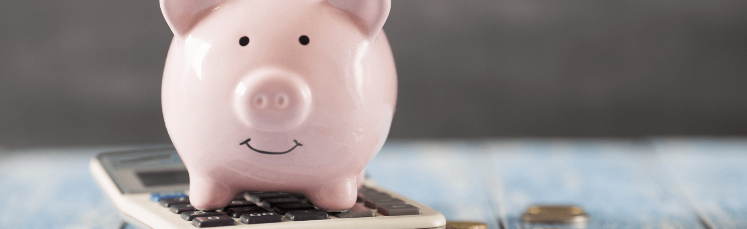 Photograph of a piggy bank