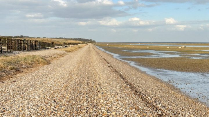 A long shingle and sand beach on a quiet island coast, with marshland behind